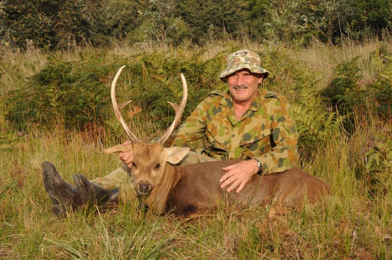 Gallery Hog Deer Hunting Australia